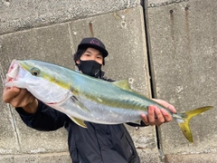 メジロの釣果