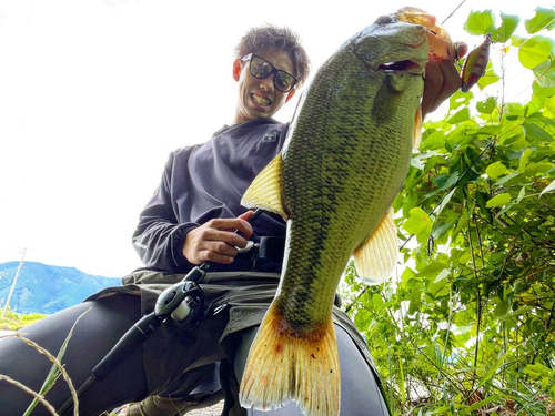 ブラックバスの釣果