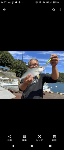 カンパチの釣果