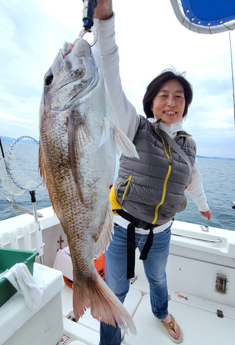 マダイの釣果