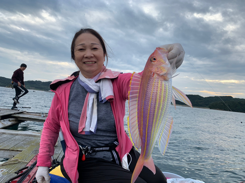 イトヨリダイの釣果