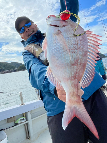 マダイの釣果