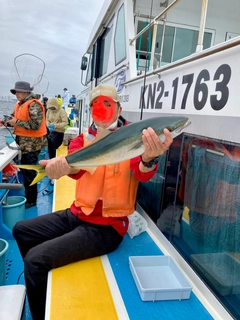 ワラサの釣果