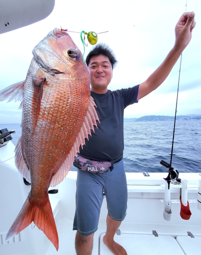 マダイの釣果