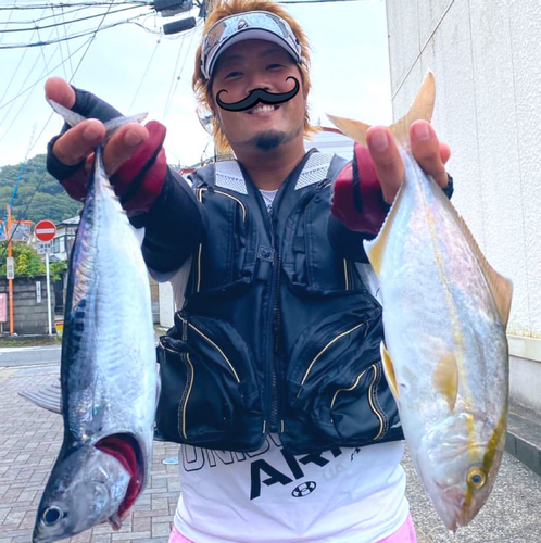 ショゴの釣果