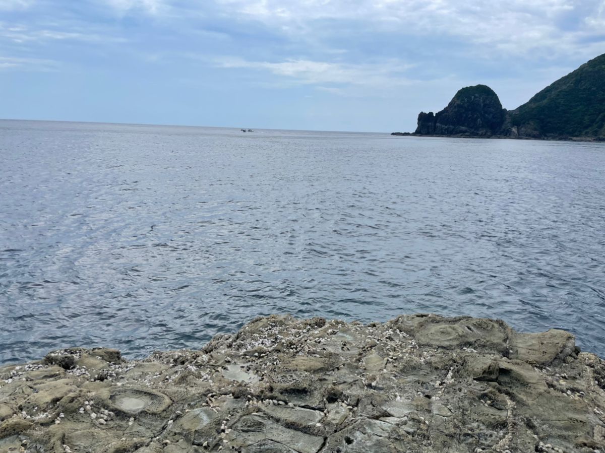 鹿児島釣り情報局運営者さんの釣果 2枚目の画像