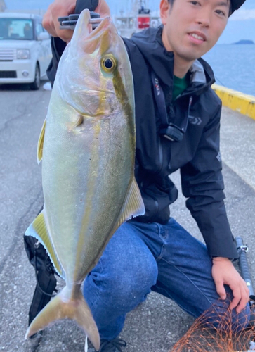 ショゴの釣果