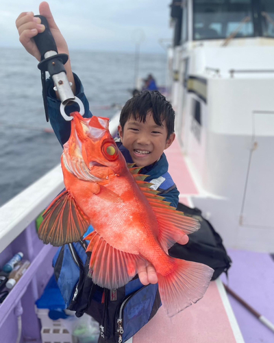 チカメキントキの釣果