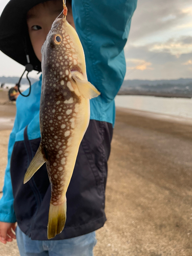 フグの釣果