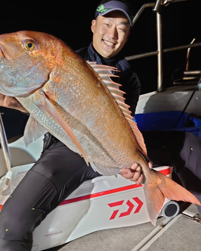 マダイの釣果