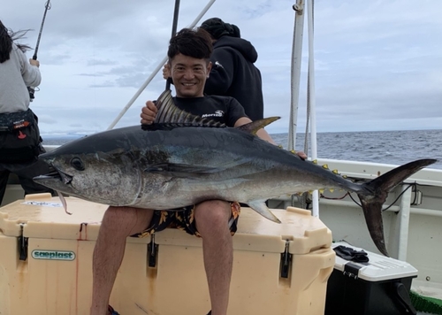 クロマグロの釣果