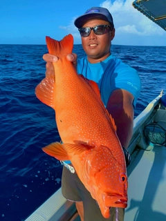 アカジンミーバイの釣果