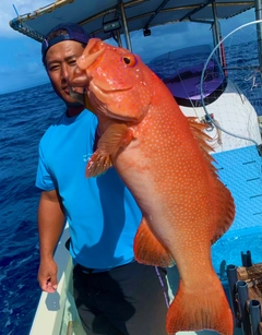 アカジンミーバイの釣果