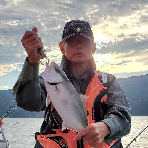 カンパチの釣果