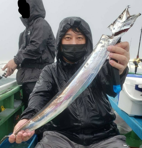 タチウオの釣果