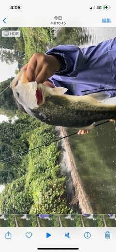 ブラックバスの釣果