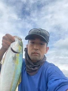 メジロの釣果