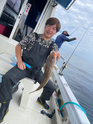 ワニゴチの釣果