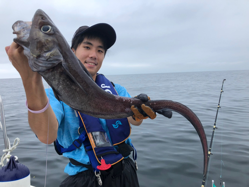 テナガダラの釣果