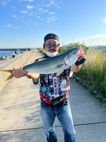 メジロの釣果