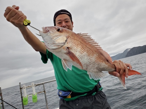 マダイの釣果