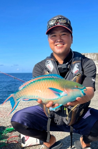 イチモンジブダイの釣果