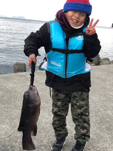 コブダイの釣果