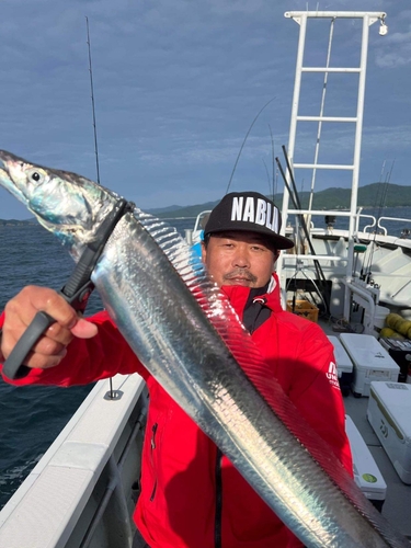 タチウオの釣果