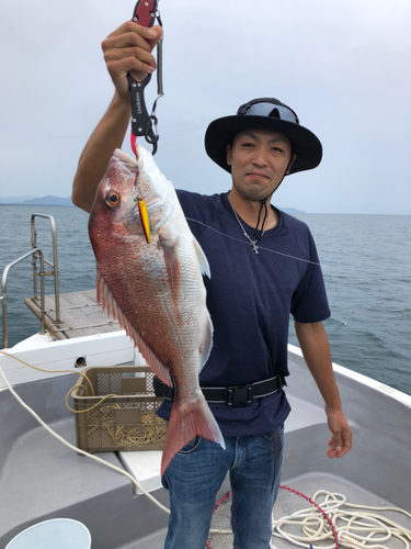 マダイの釣果