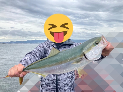 メジロの釣果