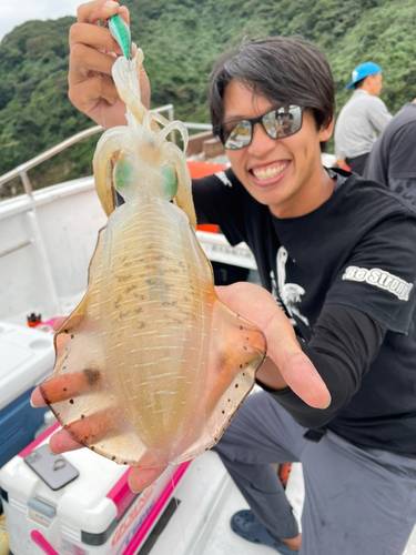 クロサバフグの釣果