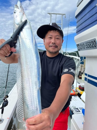 タチウオの釣果