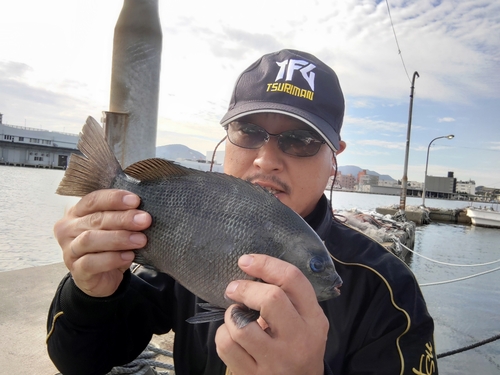 クロの釣果