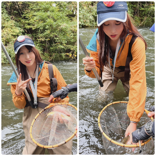 ブラウントラウトの釣果