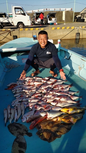 マダイの釣果