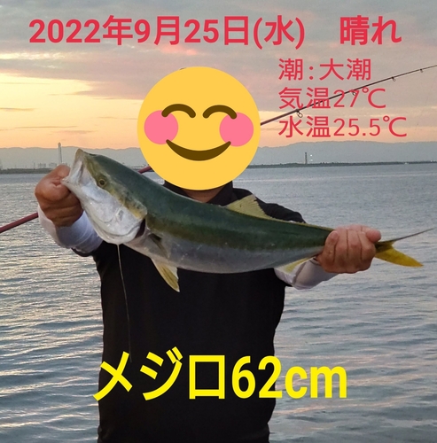 メジロの釣果