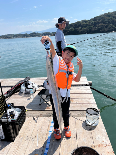 タチウオの釣果