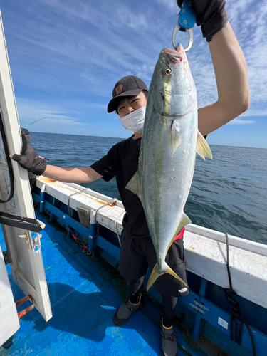 イナダの釣果