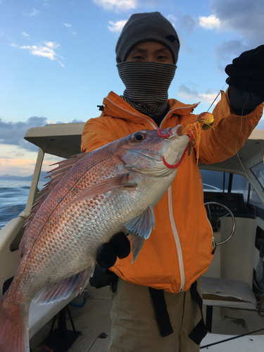 マダイの釣果