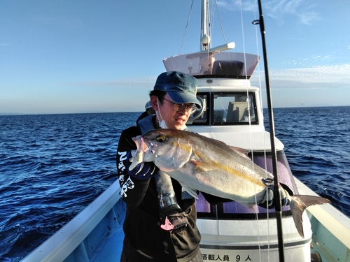 カンパチの釣果