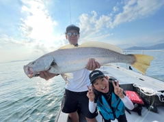 オオニベの釣果