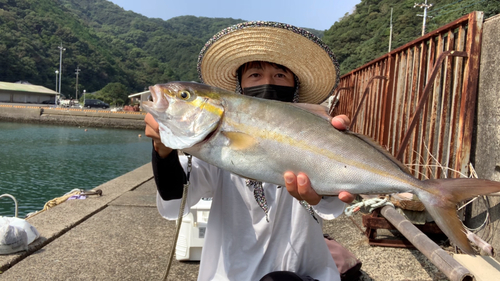 ネリゴの釣果