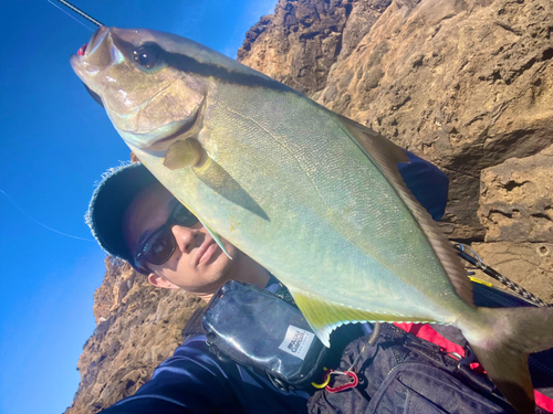 ショゴの釣果