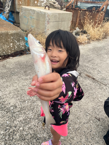 キスの釣果