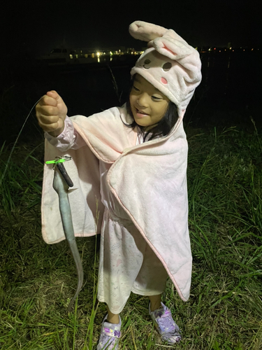 アナゴの釣果