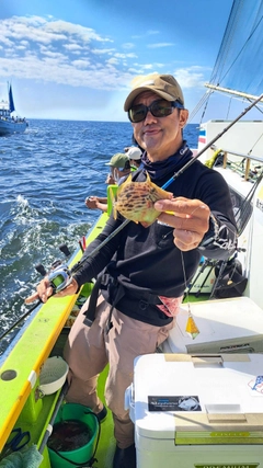 カワハギの釣果