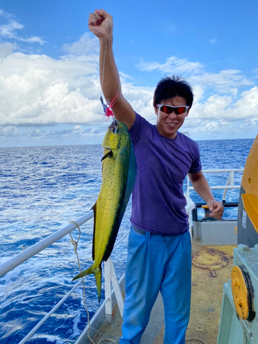 シイラの釣果