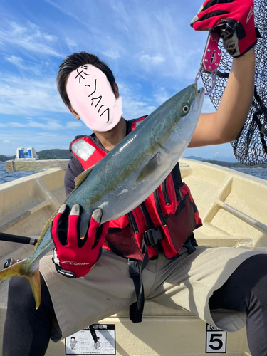 ワラサの釣果