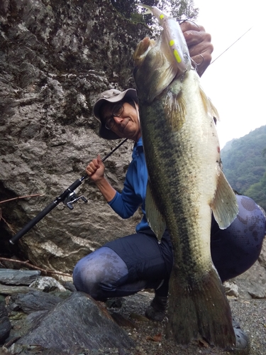 ブラックバスの釣果