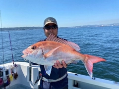 マダイの釣果